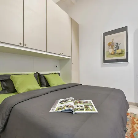 公寓 Minerva Arno River