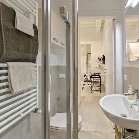 Minerva Arno River 公寓 *